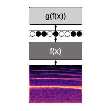 A graphical depiction of an audio encoder-decoder model.